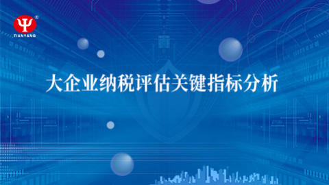 大企業納稅評估關鍵指標分析 